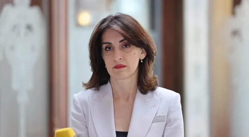 Georgian FM: WUF13 is organized at an excellent level 