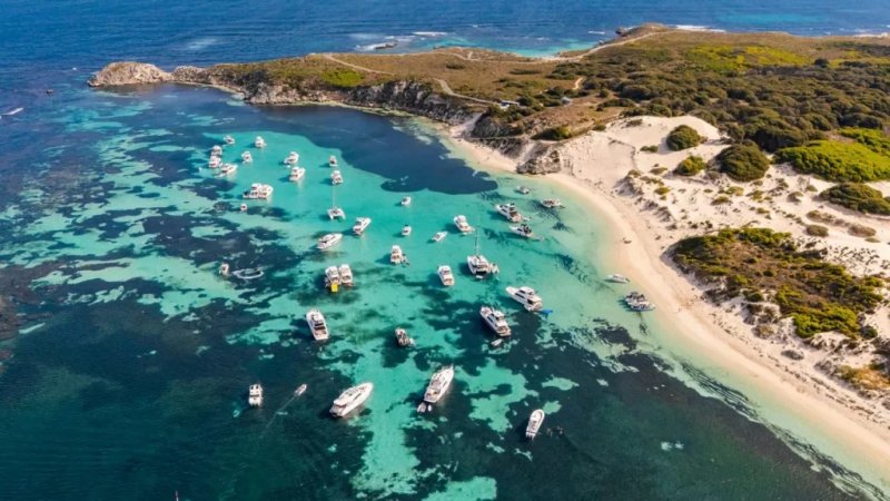 Tributes pour in after deadly shark attack in Australia