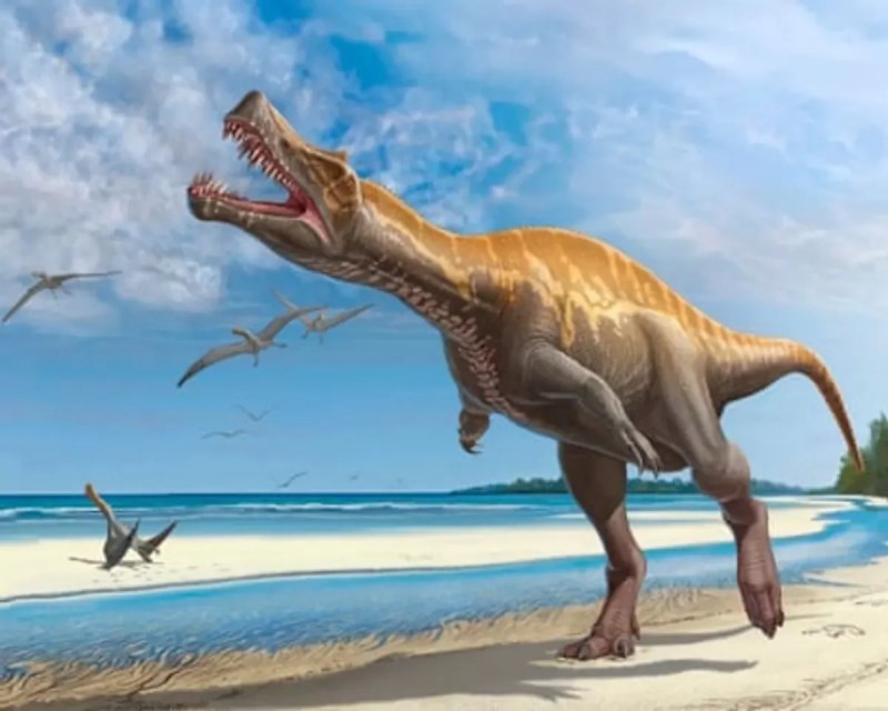 Germany to return rare Irritator dinosaur skull to Brazil