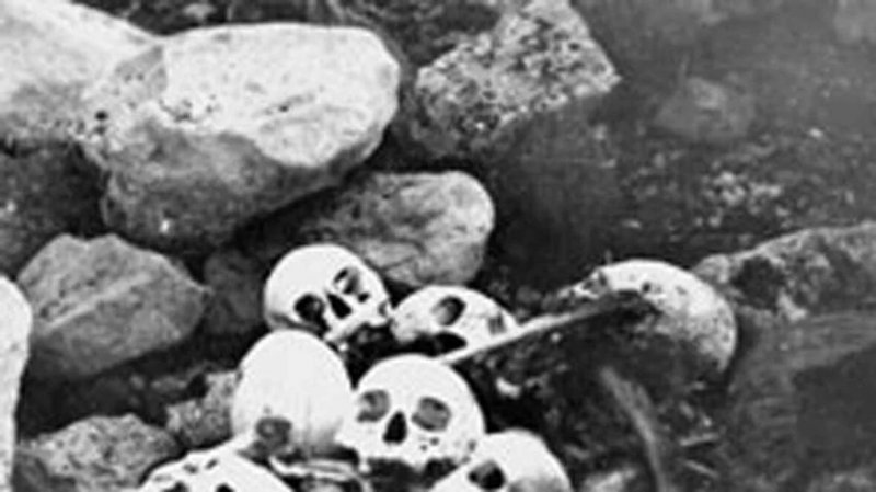 Skeletons of four Franklin expedition sailors identified through DNA analysis
