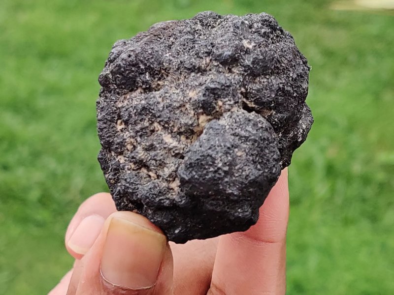 Scientists discover dark oxygen production on the deep-ocean floor
