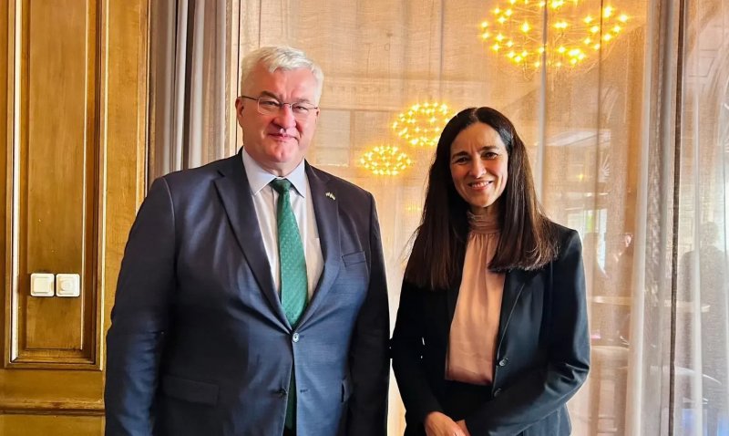 Ukraine foreign minister meets new Hungarian counterpart to discuss minority rights