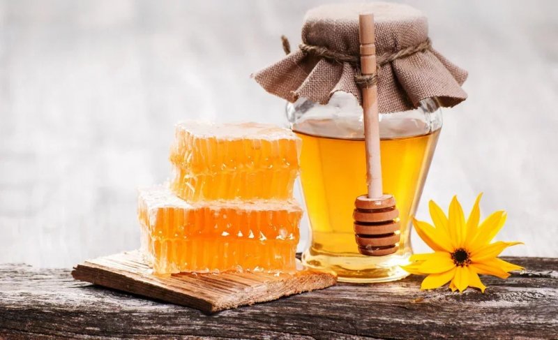 Kyrgyzstan's honey exports more than double in Q1 2026 