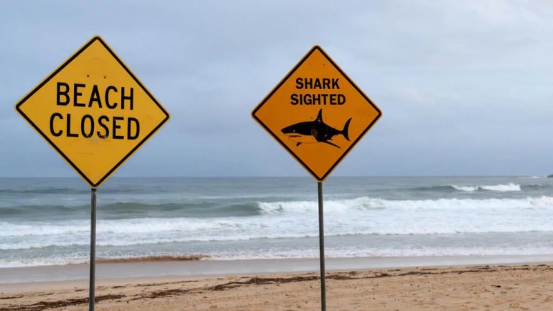 Man dies after shark attack off Australia's north-east coast