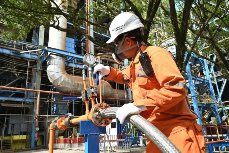 Japan’s ammonia plan raises concerns over Indonesia’s coal dependence