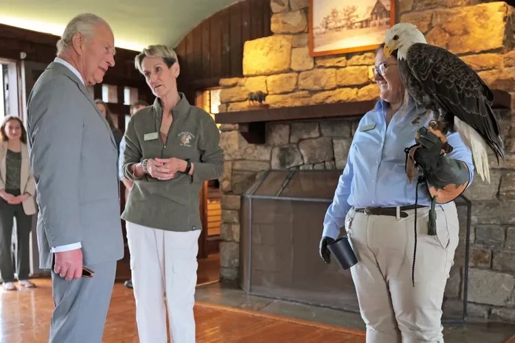 King Charles meets iconic bald eagle during final stop of US tour - VIDEO 