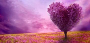 Your love horoscope for May 7: What the stars say about your relationships today - READ YOURS