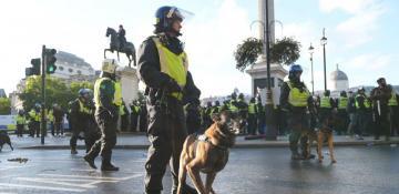 Massive £4.5m police operation separates rival protests in central London