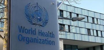 Hantavirus on a cruise? WHO investigates rare ship outbreak