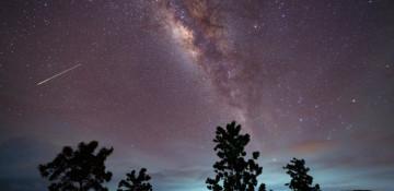 Night sky this week: Eta Aquariid peak, Venus rises