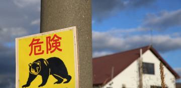 Japan reports first fatal bear attack of 2026
