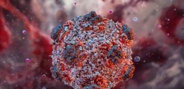 New suspected hantavirus cases emerge