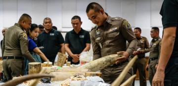 Nine arrested in Thailand over large ivory trafficking ring