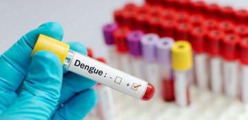 Sri Lanka sees rise in dengue cases amid monsoon fears