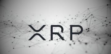 Is XRP a good investment in 2026? - Anyone investing in XRP must read 