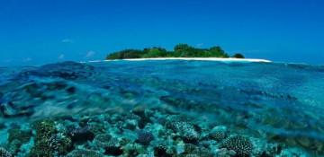 Five Italians die during cave dive in Maldives 