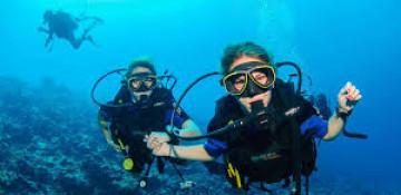 What happened in the Maldives scuba diving tragedy?