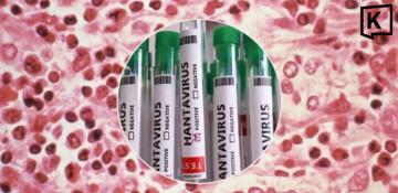 Why did Thailand classify hantavirus as a dangerous communicable disease?