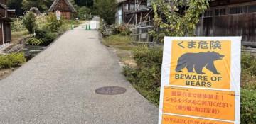 Bear attack injures hiker in western Tokyo's Okutama