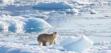 Melting glaciers and rising heat: Why climate change is becoming a national security issue in Central Asia
