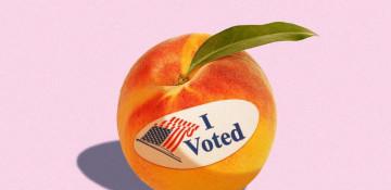 Georgia primary voters head to polls for high-stakes 2026 races
