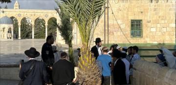 Israeli settlers storm Al-Aqsa Mosque under troop guard