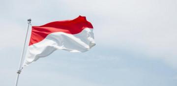 Indonesia condemns Israel's treatment of Gaza flotilla volunteers