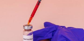 EU boosts efforts on hantavirus vaccines