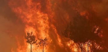 Sánchez announces Spain’s biggest-ever forest fire campaign
