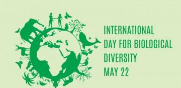 International Day for Biological Diversity highlights need to protect nature