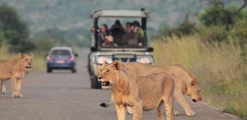 2 tourists found dead in South Africa's Kruger National Park 