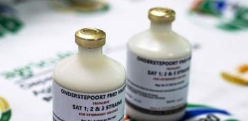 South Africa receives 3.5 mln doses of FMD vaccine from Argentina to curb outbreak 