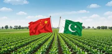 China to boost support for Pakistan’s agriculture and expand market access for exports 