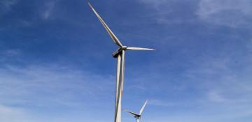 How sustainability can emerge stronger from the ESG pushback 