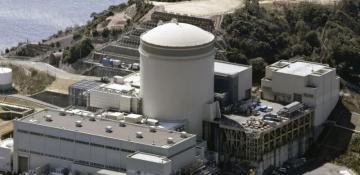 Steam leak halts nuclear reactor in central Japan