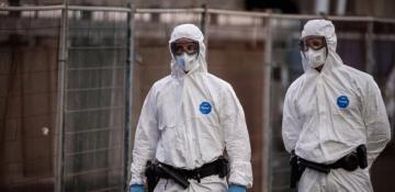 France quarantines hantavirus contacts in Paris after repatriation