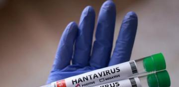 Argentina slams WHO for politicizing hantavirus outbreak