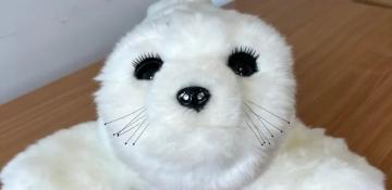 Robotic seal Sammy to help mental health patients in Kent