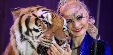 Tiger shot after attack near Leipzig