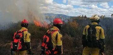 Portugal leads European wildfire response exercise with international teams -  VIDEO 