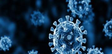 Health Ministry expert explains rise in gastrointestinal infections and prevention measures