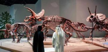 Natural History Museum Abu Dhabi kicks off immersive family workshops this May