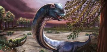 Scientists identify massive new dinosaur Nagatitan Chaiyaphumensis in Thailand discovery