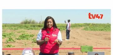 Kenya's TV47 shows demining process in Aghdam - VIDEO