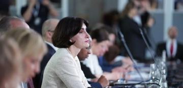 Georgian FM accuses Europe of double standards in Council of Europe speech
