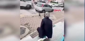 Woman arrested in Türkiye after spraying chemical on cat in Kocaeli - VIDEO 