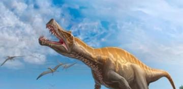 Germany to return rare Irritator dinosaur skull to Brazil