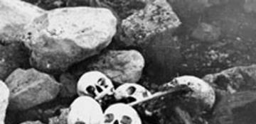 Skeletons of four Franklin expedition sailors identified through DNA analysis