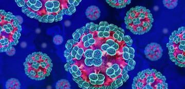 What is hantavirus? Everything to know about the deadly virus
