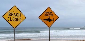 Man dies after shark attack off Australia's north-east coast